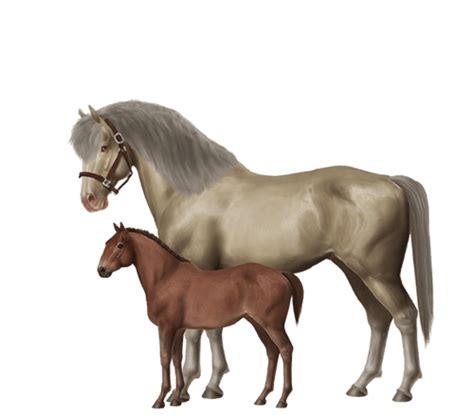 horse breeding simulator.